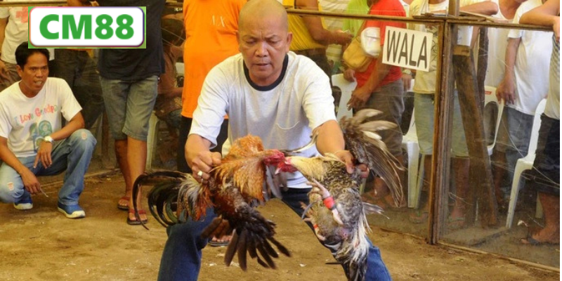 Cập nhật tin nội bộ và sự kiện độc quyền