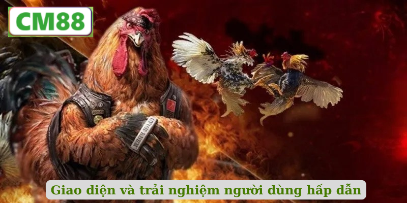 Giao diện và trải nghiệm người dùng mượt mà